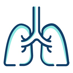 Pulmonology Icon