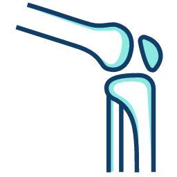 Orthopedics Icon