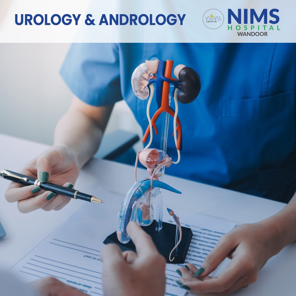 Urology surgical suite